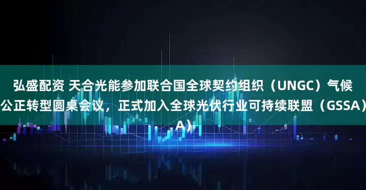 弘盛配资 天合光能参加联合国全球契约组织（UNGC）气候公正转型圆桌会议，正式加入全球光伏行业可持续联盟（GSSA）