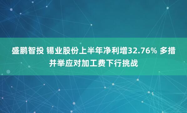 盛鹏智投 锡业股份上半年净利增32.76% 多措并举应对加工费下行挑战